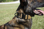 Agitation Collar no handle