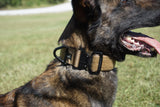 Agitation Collar no handle