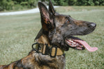Agitation Collar no handle